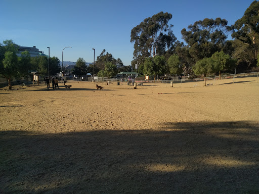 The BoneYard