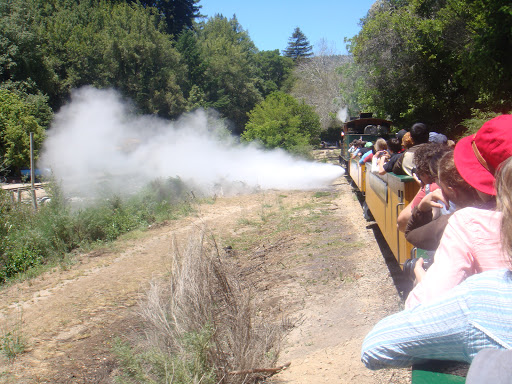 Amusement Park «Roaring Camp Railroads», reviews and photos, 5401 Graham Hill Road, Felton, CA 95018, USA