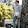 Ricardo Rivera Ricardo Rivera's profile photo