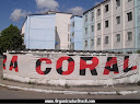 TORCIDA ORGANIZADA COBRA CORAL