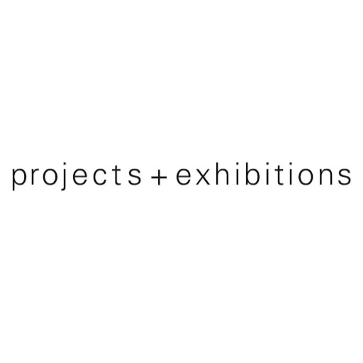 projects+exhibitions logo