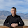 Adam Smith Adam Smith's profile photo