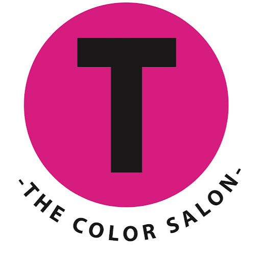 The Color Salon logo