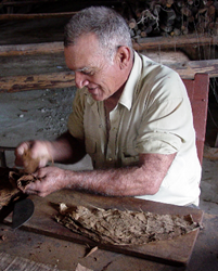 Cigar Roller in Cuba Cigar Roller in Cuba