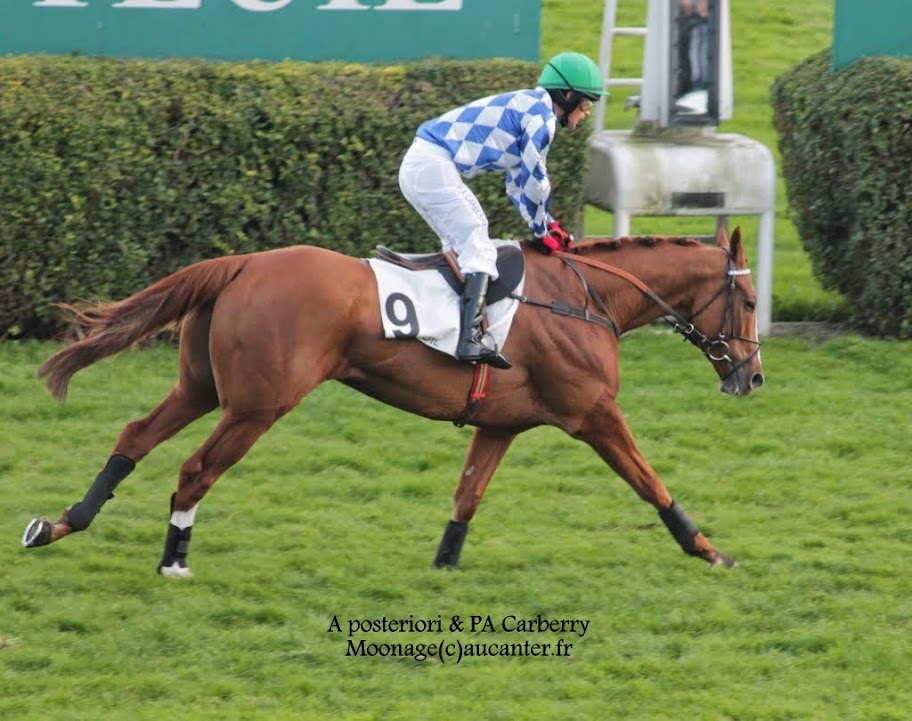 Photos Auteuil 2-11-2014 (48h de l'obstacle) - Page 2 IMG_5787