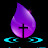 Michelle Fountain avatar image