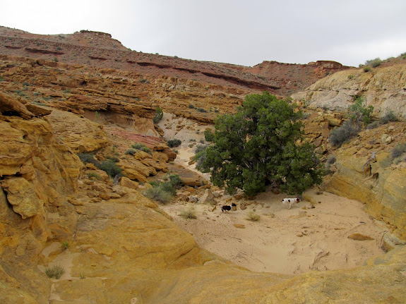 Leaving the Navajo Sandstone behind
