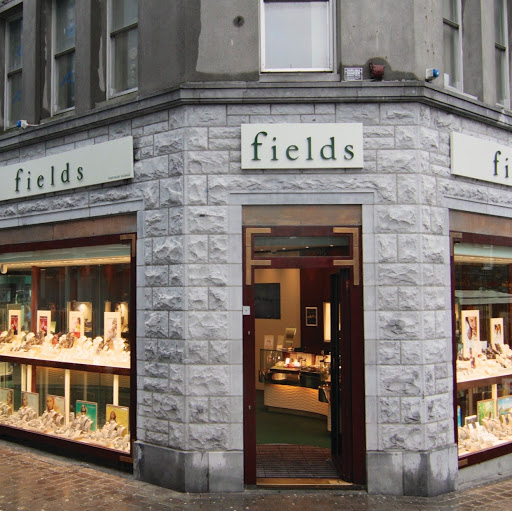 Fields the Jeweller, Galway logo
