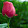 D Zulecha D Zulecha's profile photo