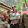 David Buller David Buller's profile photo