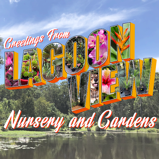 Lagoon View Nursery logo
