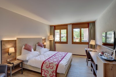 Photos of Restaurant de l'H&ocirc;tel des Vignes
