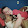 Judy Brady Judy Brady's profile photo