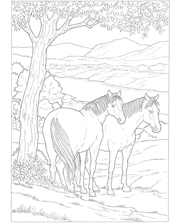 Dibujo de caballos para colorear