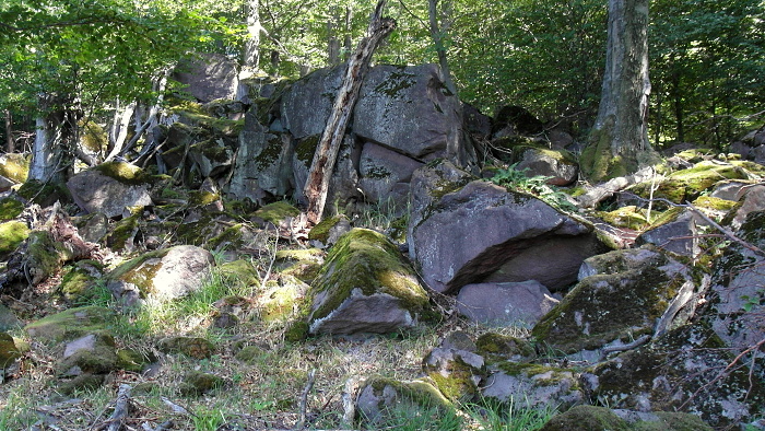 Slanske vrchy