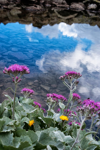 Fotografie Lago Mongioie - Pietraporzio