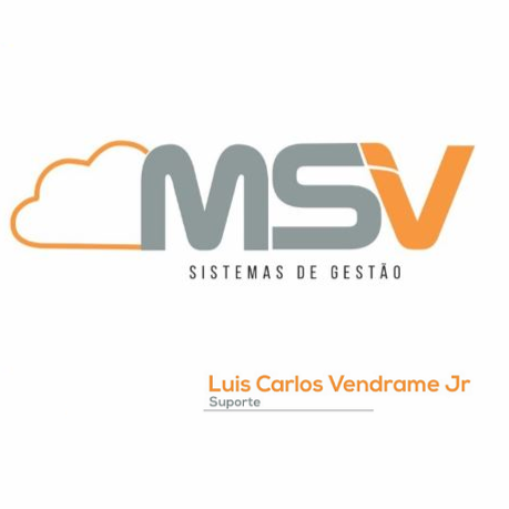 Luis Carlos Vendrame Jr