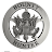 Veil Haven avatar image