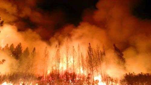 Wildfire Critical In Calculating Carbon Payback Time For Biomass Energy Projects