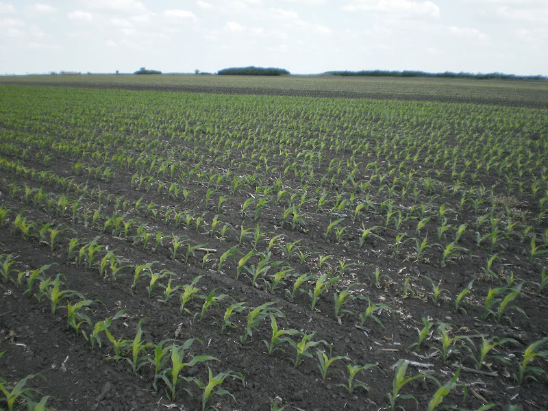 P4280010.JPG