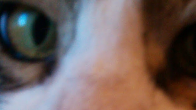 Cover photo