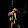 Ellesse La'Shay Ellesse La'Shay's profile photo