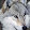 Hoc Sissa Hoc Sissa's profile photo