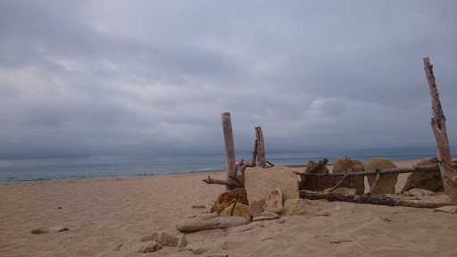 Plage du Lizay