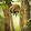 Heather Nicole Lovern Heather Nicole Lovern's profile photo