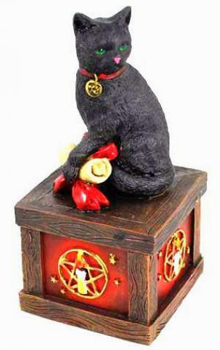 Magical Cat Ritual Box