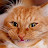 Elena Mirchovska avatar image