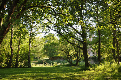 Kasteel Ter Elst