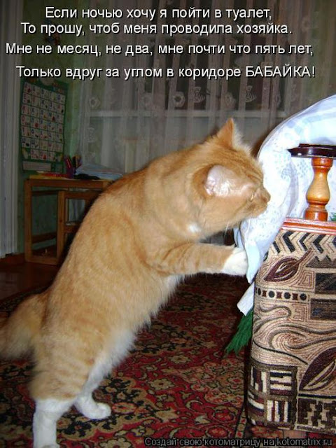 Ни дня без улыбки. Счастье не в деньгах Ни дня без улыбки. Счастье не в деньгах