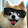 Michael Kolobayev Michael Kolobayev's profile photo