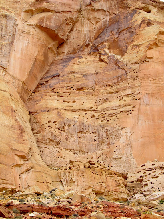 Massive Wingate Sandstone walls