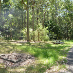 Barbecue and picnic table at Lily Pond Picnic Area in Blackbutt Reserve (401131)
