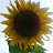 Christina W avatar image