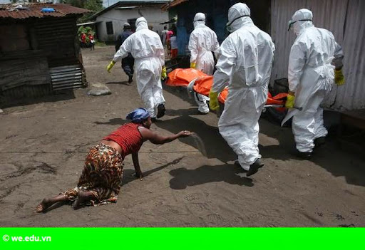 Hình 1: EU tổ chức hội nghị quốc tế về công tác phòng chống Ebola Hình 1: EU tổ chức hội nghị quốc tế về công tác phòng chống Ebola