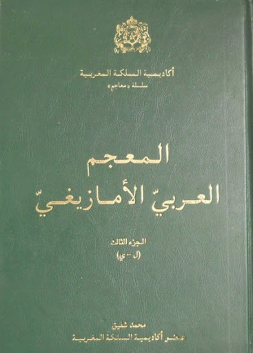 الملك محمد السادس دسترة الأمازيغية كلغة رسمية الى جنب العربية للمغرب  11