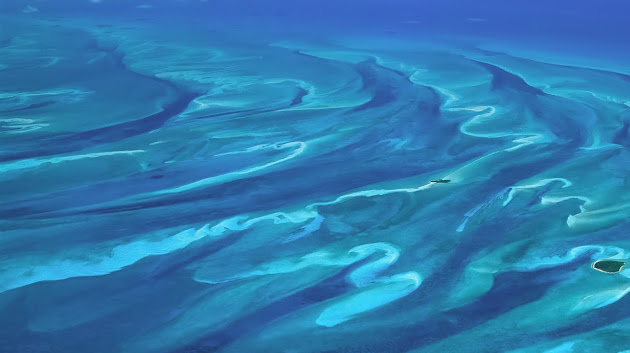 Cover photo