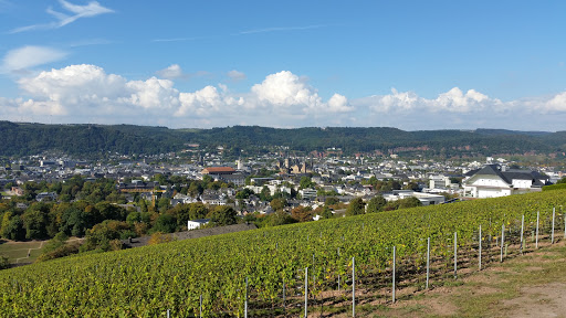 Petrisberg Aussicht