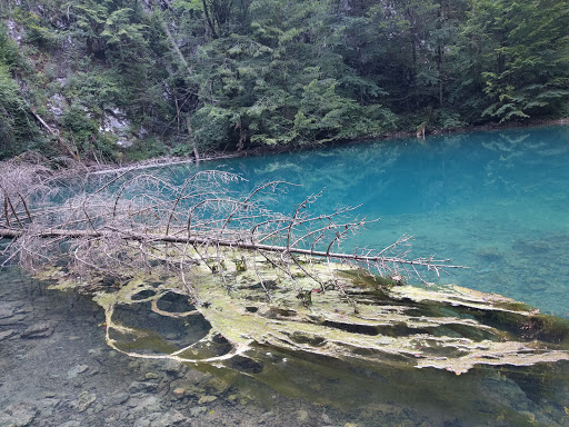 Nacionalni park Risnjak