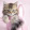 Elvira Radish Elvira Radish's profile photo