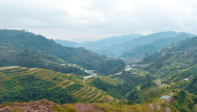 Cover photo
