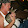 John Tasillo John Tasillo's profile photo
