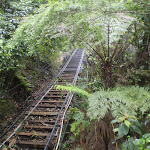 The Scenic Railway (12110)