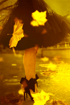 .0_dd5bf_e7ef0ee6_orig.gif