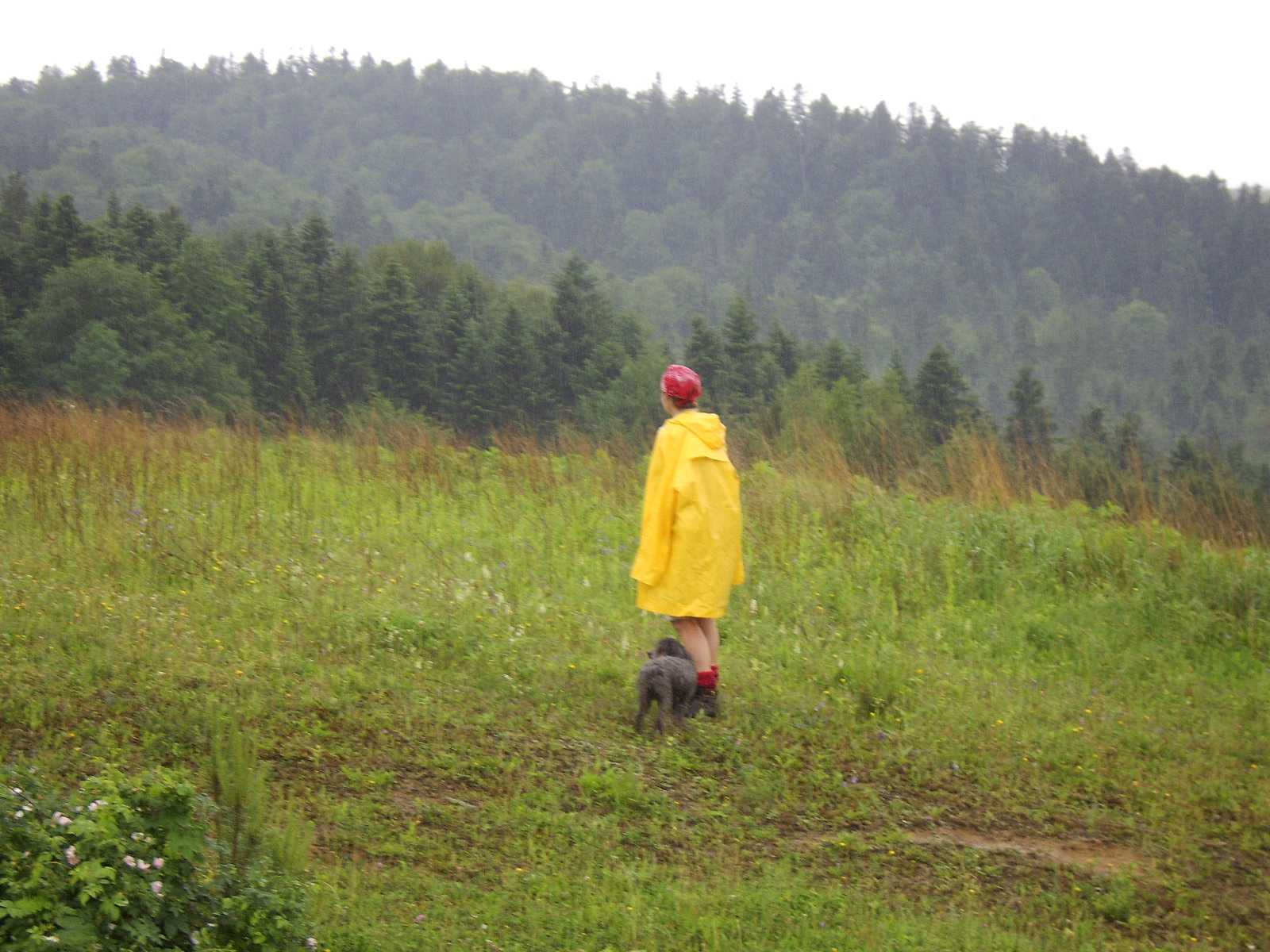 Dlatego wanie warto zapozna si z kilkoma najwaniejszymi zasadami smsowego randkowania, przed wysaniem pierwszej wiadomoci do dziewczyny lub Jak napisa pierwszy SMS do dziewczyny? - MyDwoje