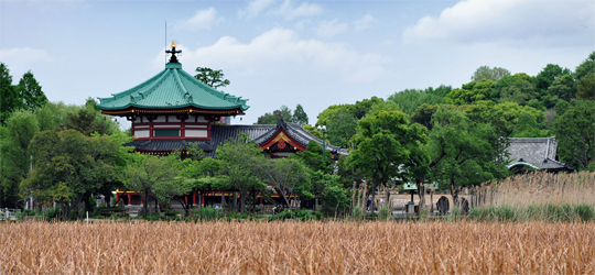 Parque Ueno Parque Ueno en Tokyo