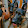 John Sanocki John Sanocki's profile photo